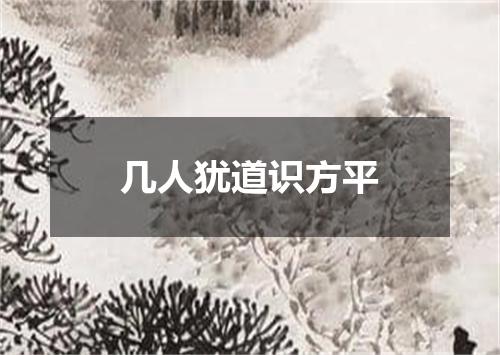 几人犹道识方平