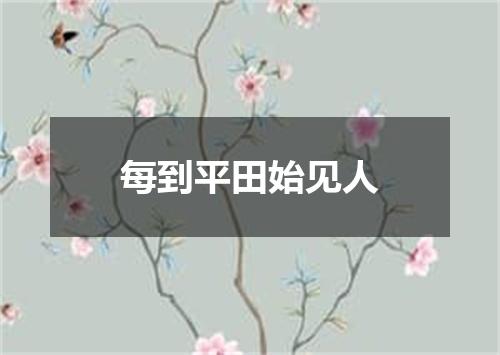 每到平田始见人