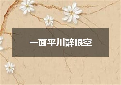 一面平川醉眼空