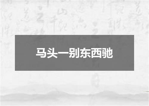 马头一别东西驰
