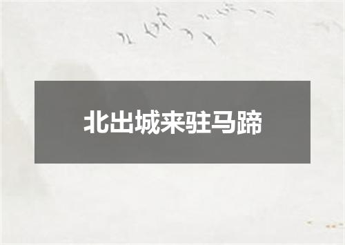 北出城来驻马蹄