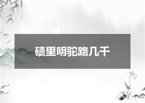 碛里明驼路几千