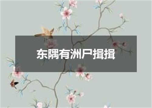 东隅有洲尸揖揖