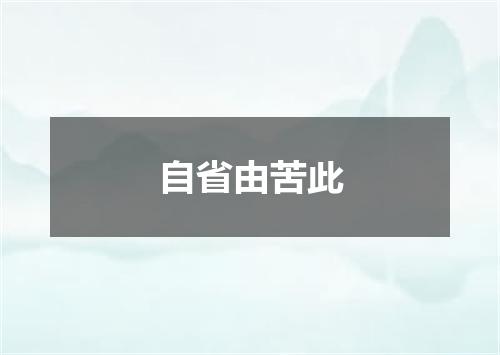 自省由苦此