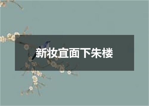 新妆宜面下朱楼