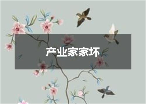 产业家家坏