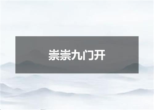 崇崇九门开