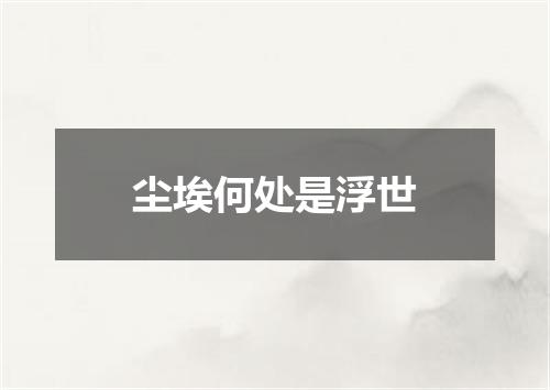 尘埃何处是浮世