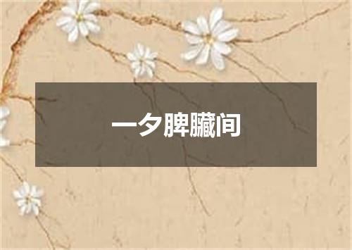 一夕脾臟间
