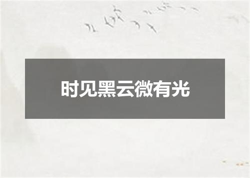 时见黑云微有光