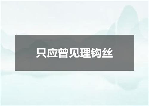 只应曾见理钩丝