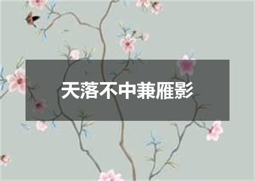 天落不中兼雁影