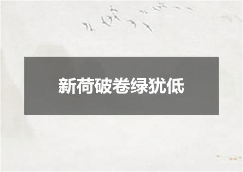 新荷破卷绿犹低