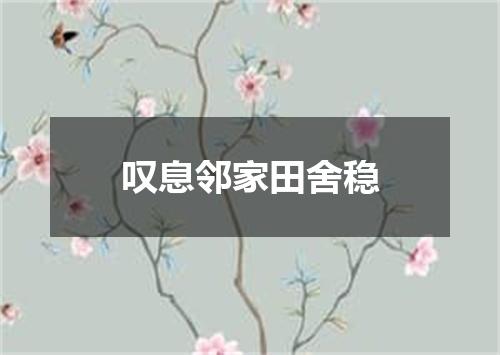 叹息邻家田舍稳