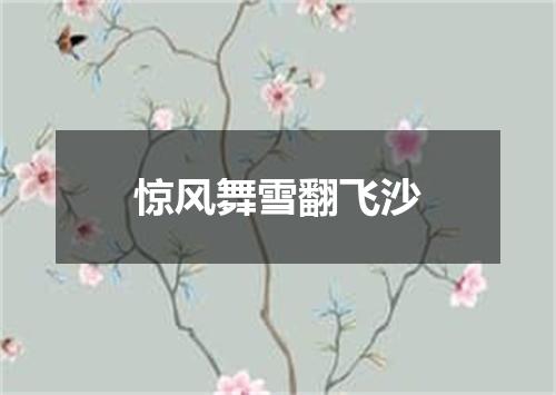 惊风舞雪翻飞沙