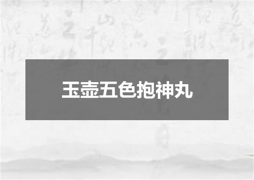 玉壶五色抱神丸