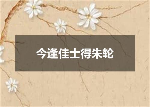 今逢佳士得朱轮