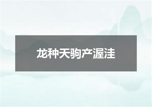 龙种天驹产渥洼