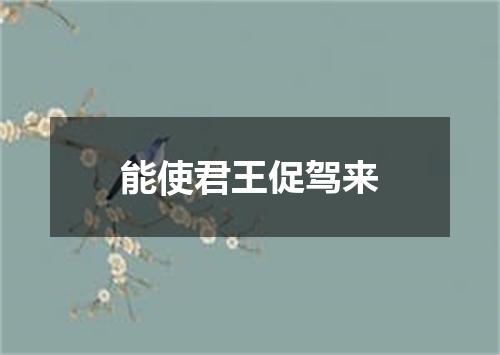 能使君王促驾来