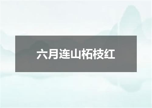 六月连山柘枝红