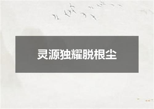 灵源独耀脱根尘