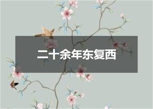 二十余年东复西