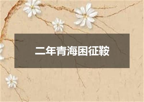 二年青海困征鞍
