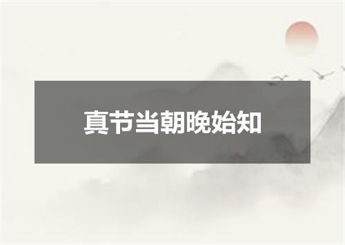 真节当朝晚始知
