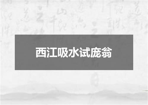 西江吸水试庞翁