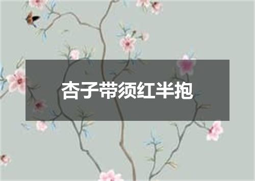杏子带须红半抱