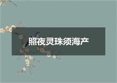 照夜灵珠须海产
