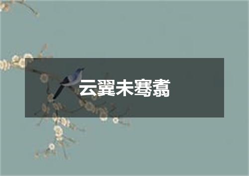 云翼未骞翥