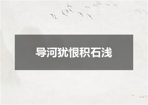 导河犹恨积石浅