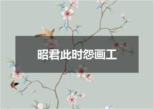 昭君此时怨画工