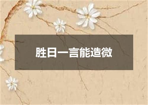 胜日一言能造微