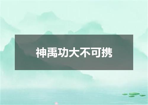 神禹功大不可携