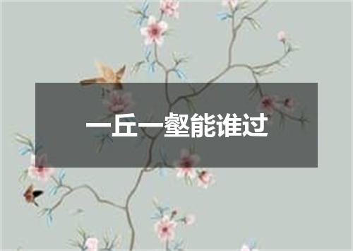 一丘一壑能谁过