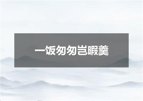 一饭匆匆岂暇羹