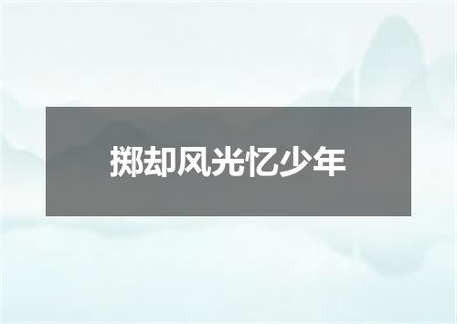 掷却风光忆少年