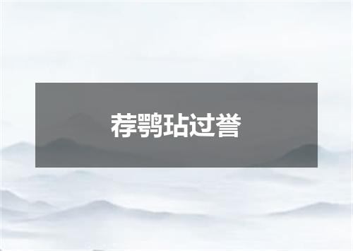 荐鹗玷过誉