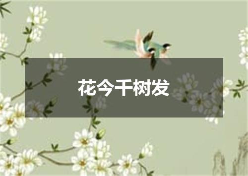 花今千树发