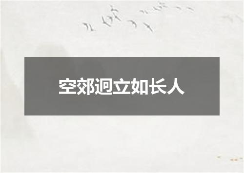 空郊迥立如长人