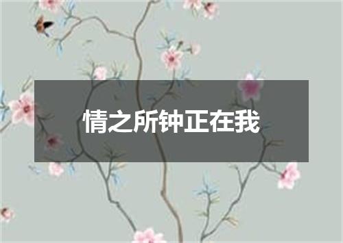 情之所钟正在我