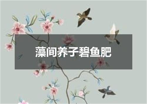 藻间养子碧鱼肥