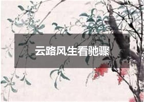 云路风生看驰骤