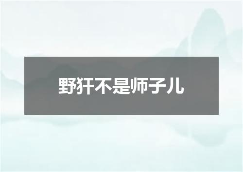 野犴不是师子儿