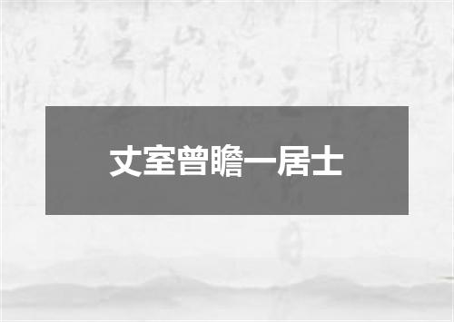丈室曾瞻一居士