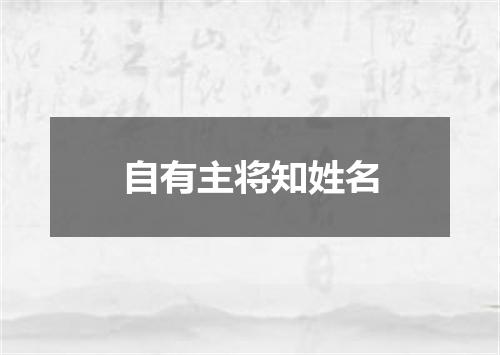 自有主将知姓名