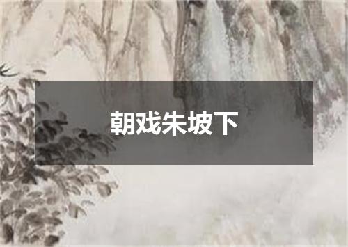 朝戏朱坡下