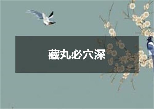 藏丸必穴深